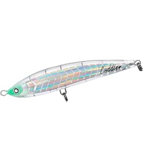 Amazon | 純正パーツ 21 ツインパワー SW 10000HG スプール組